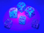 Chessex - Gemini Luminary - 12mm d6 - Gel Green-Pink/blue (36 Dice) en internet