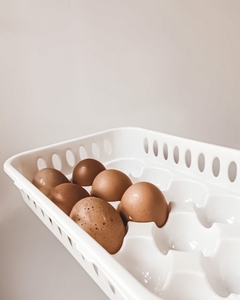 Huevera, Organizador de huevos con tapa 15h - comprar online