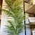 Planta Areca - comprar online