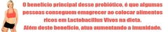 Banner da categoria Lactobacilos