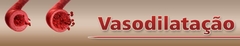 Banner da categoria Vasodilatação