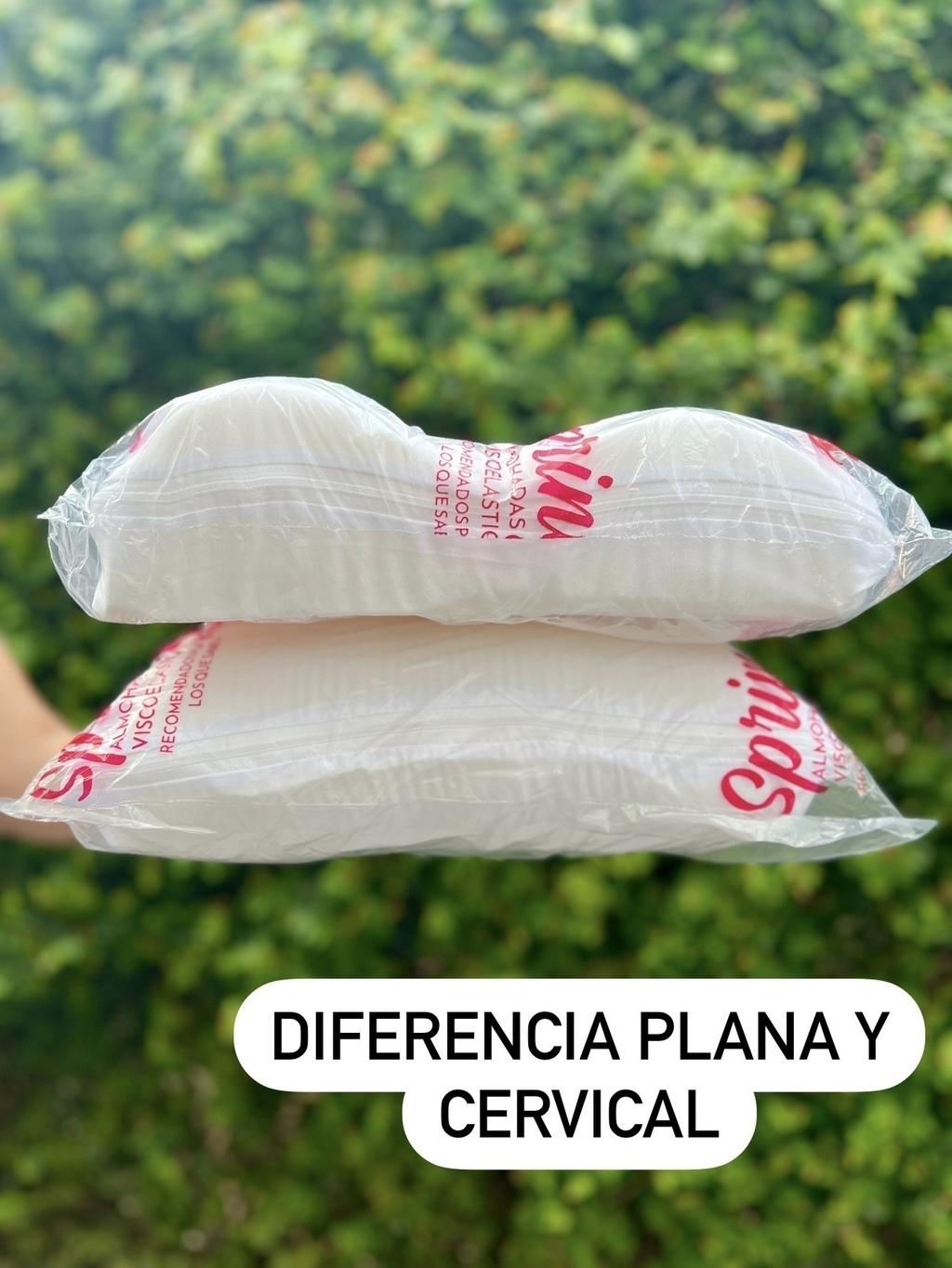 Almohada spring night hotsell