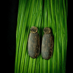 Brinco de palmeira - Pataxó