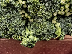 Semillas Brócoli en internet