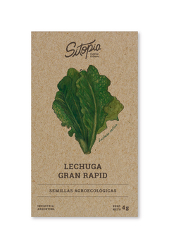 Semillas Lechuga Grand Rapid