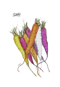 Semillas Zanahorias de Colores Mix - comprar online