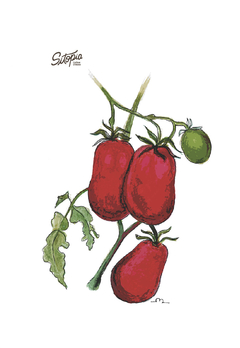Semillas Tomate Cherry Uva - comprar online