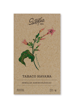 Semillas Tabaco Havana - comprar online