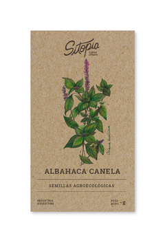 Semillas Albahaca Canela