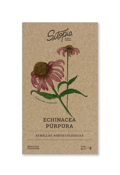 Semillas Echinacea Púrpura