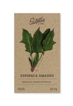 Semillas Espinaca Amadeo - comprar online