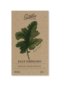Semillas Kale Siberiano/Rizado