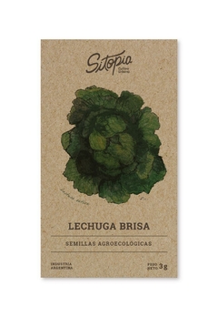 Semillas Lechuga Brisa