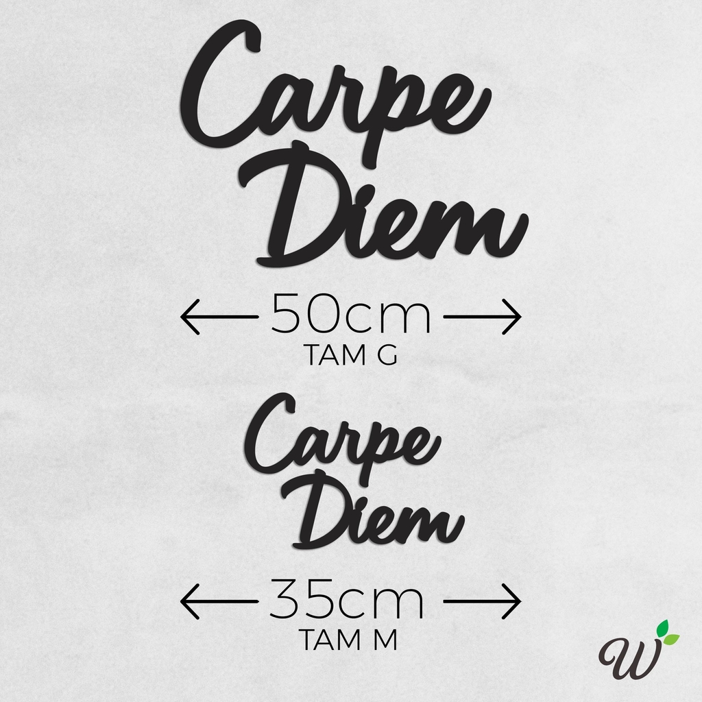 Frase de Parede 3D Carpe Diem em MDF Preto