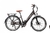 Bicicleta Elétrica RioSouth New Daily - comprar online