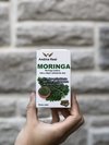 Moringa Oleifera ANDINA REAL