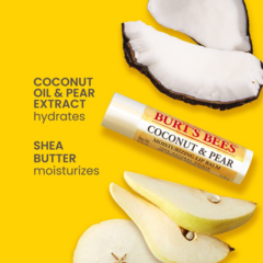 Protetor Labial Burt’s Bees 4 sabores - Joy Importados