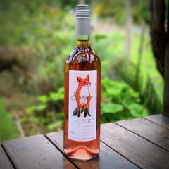 Esopo Moscato Bailey rosé - 750 ml