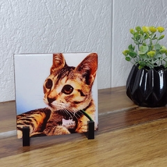 Azulejo Personalizado . CON LA FOTO DE TU MASCOTA