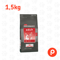 Club Performance Adult Cat 1,5kg - comprar online