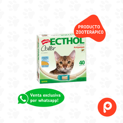 Ecthol collar gato