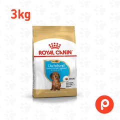 Royal Canin Dachshund Puppy 3kg - comprar online