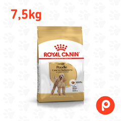 Royal Canin Caniche Adulto 7,5kg - comprar online