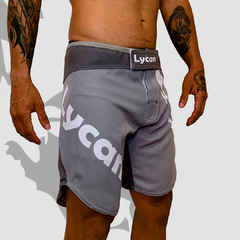 Fight Shorts Centurium Grey