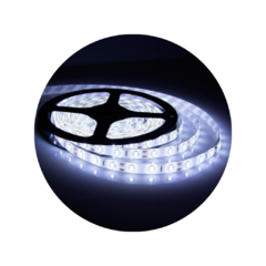 Tira led 5050W-60 - comprar online