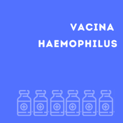 Vacina Haemophilus