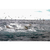 Caña Okuma Cedros Speed Jig CST 6 Pies MH - SPORT FISHING COLIMA