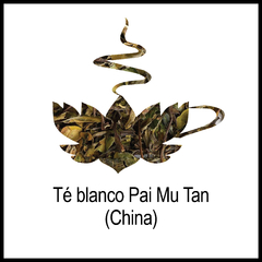 Té blanco Pai Mu Tan (China) - comprar online