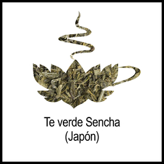 Té verde Sencha (Japón) - comprar online