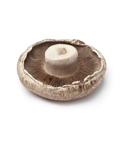 Cogumelos Portobello (bandeja)