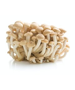 Cogumelos Shimeji Branco (bandeja)