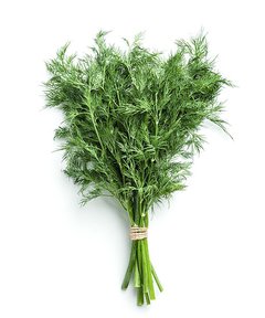 Dill (endro)