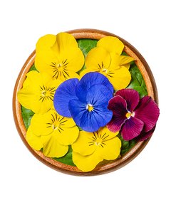 Flor Comestível (bandeja)