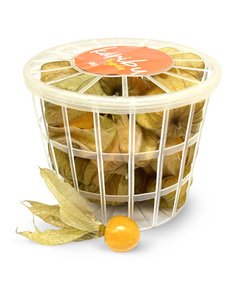 Physalis (bandeja) - comprar online