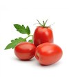 Tomate Italiano Graúdo (500 g)