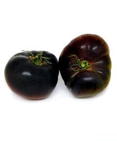 Tomate Black (bandeja)