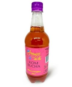 KOMBUCHA HIBISCO COM GENGIBRE 300 ML (UNIDADE) na internet