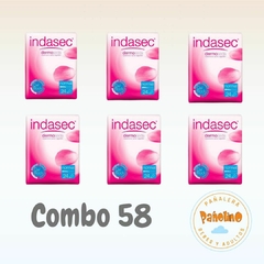 Combo 58 Indasec Normal x 24 (25x9)