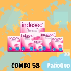 Combo 58 Indasec Normal x 24 (25x9) - comprar online