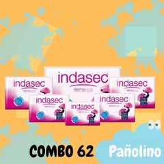 Combo 62 Indasec Goodnites Maxi x 12 (42x14) - comprar online