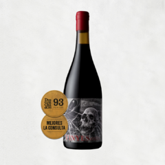 Vinyes Ocults Malbec COT 2023 - comprar online