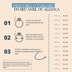 Alianças de prata com pedras centralizadas 4mm │ Anel incluso - loja online