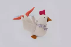Dollores, a galinha na internet