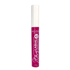 Imagen de Labial liquido STAY 16 HORAS