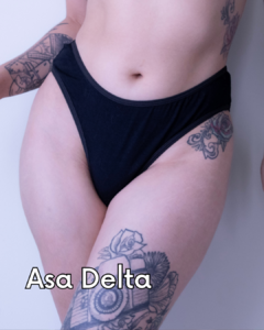 Duo Calcinhas Asa Delta e Clássica - comprar online