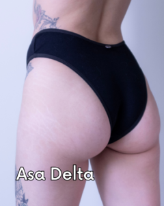 Duo Calcinhas Asa Delta e Clássica na internet